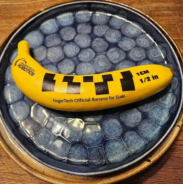 A yellow plastic banana with black markings and text reading 'FingerTech Robotics', 'FingerTech Official Banana for Scale'…