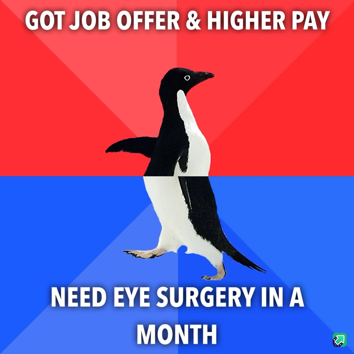 A penguin stands centered against a red and blue background, with white text at the top reading 'GOT JOB OFFER & HIGHER PAY'…