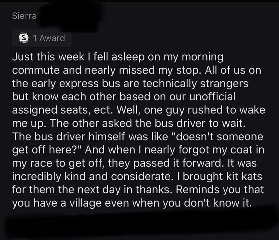 A screenshot of a Reddit comment by user 'SierraS' with a '1 Award' badge, describing a heartwarming story about strangers…