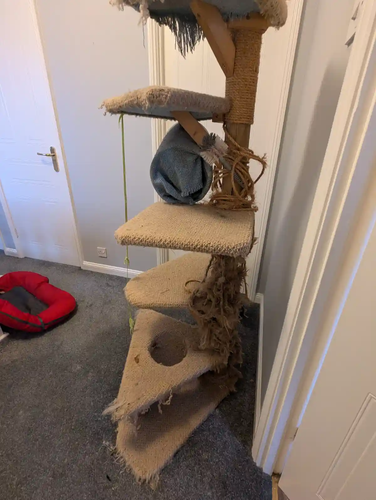 A heavily worn and frayed multi-level cat tree with torn carpeting and exposed sisal rope, standing in a room with grey…