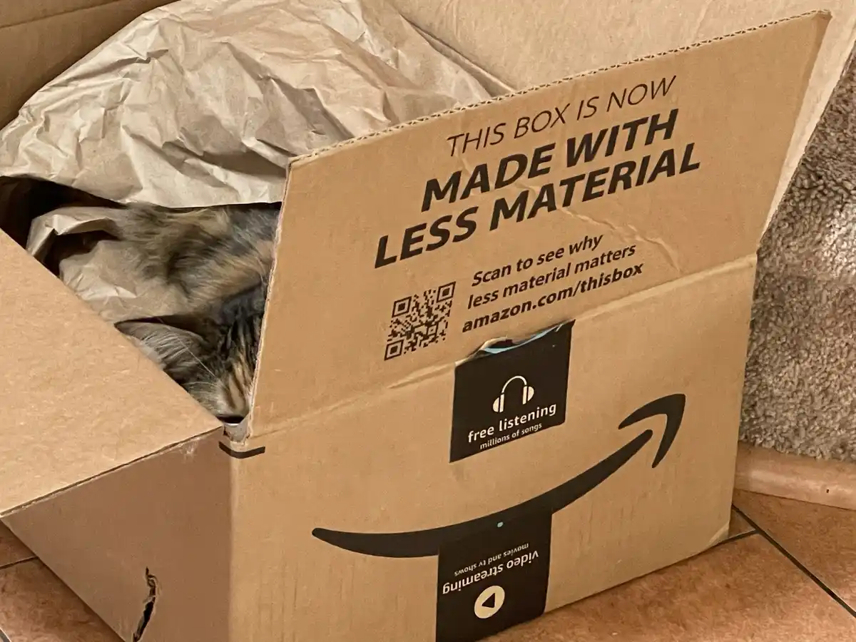 An open Amazon cardboard shipping box with a cat partially visible inside, peeking out from under brown packing paper. The…