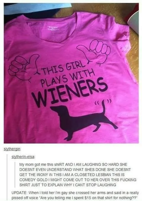 A pink t-shirt features a black silhouette of a dachshund with the text 'THIS GIRL PLAYS WITH WIENERS' above it, flanked by…