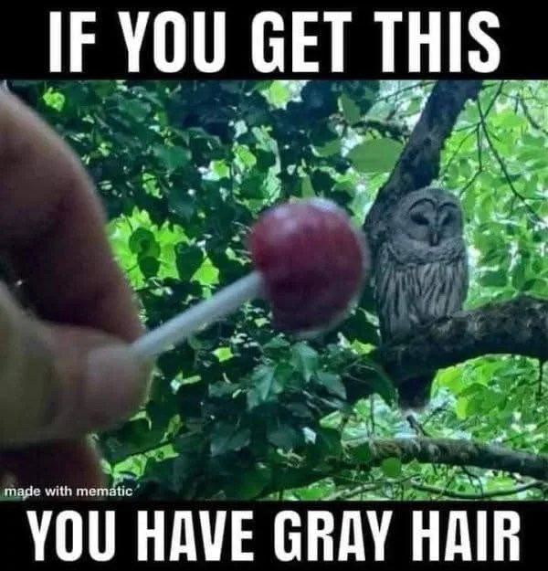 A hand holds a red lollipop in front of a barred owl perched in a tree. The owl's face has a heart-shaped marking that…