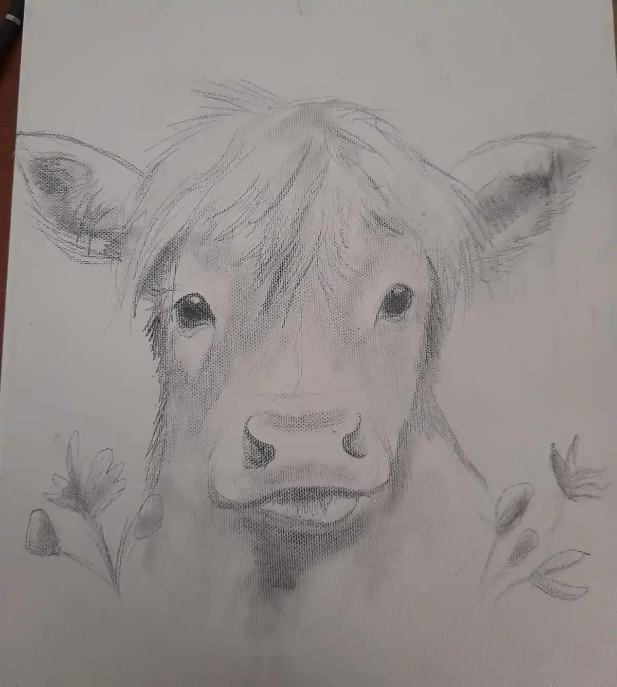 A pencil sketch of a cow's face with large, expressive eyes and a gentle expression, framed by simple flower sketches on…