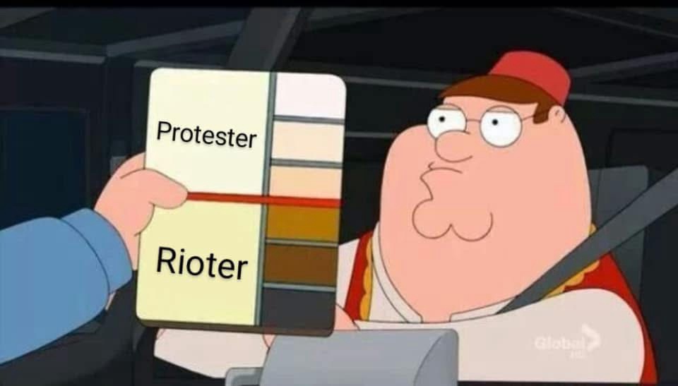 Peter Griffin from Family Guy sits in a car looking confused as a hand holds up a color swatch card with 'Protester' and…