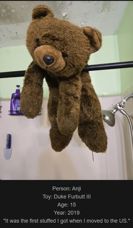 A brown teddy bear hangs limply from a black shower rod in a bathroom, with a showerhead visible to the right and a purple…