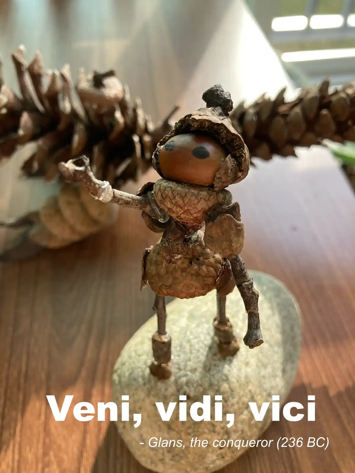 Glans: The Fearless Acorn Conqueror