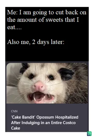 The image shows a close-up of a white opossum with black ears and a pink nose, its mouth wide open in an expression that…