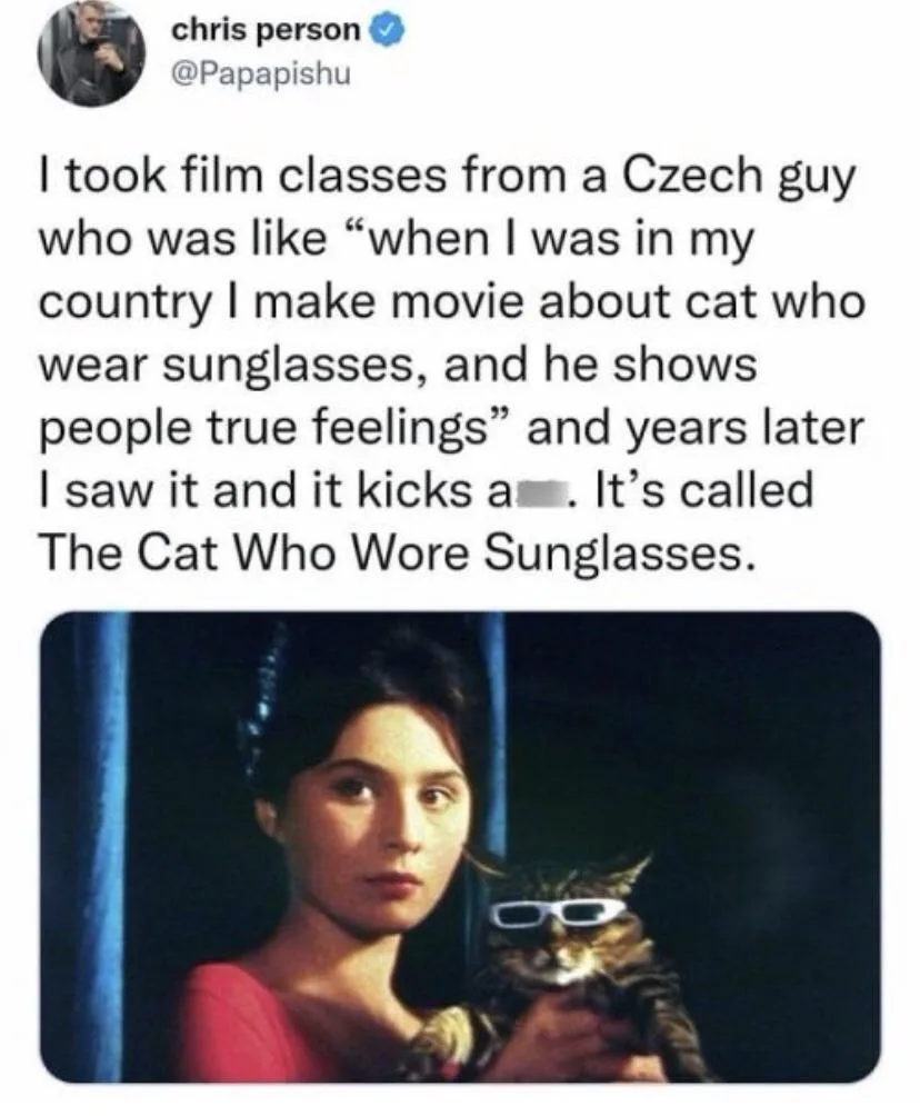 A screenshot of a tweet by Chris Person (@Papapishu) describing a Czech film class instructor's claim that his movie about a…