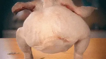 A sequence of six images shows a raw, plucked chicken performing a series of increasingly absurd movements on a kitchen…