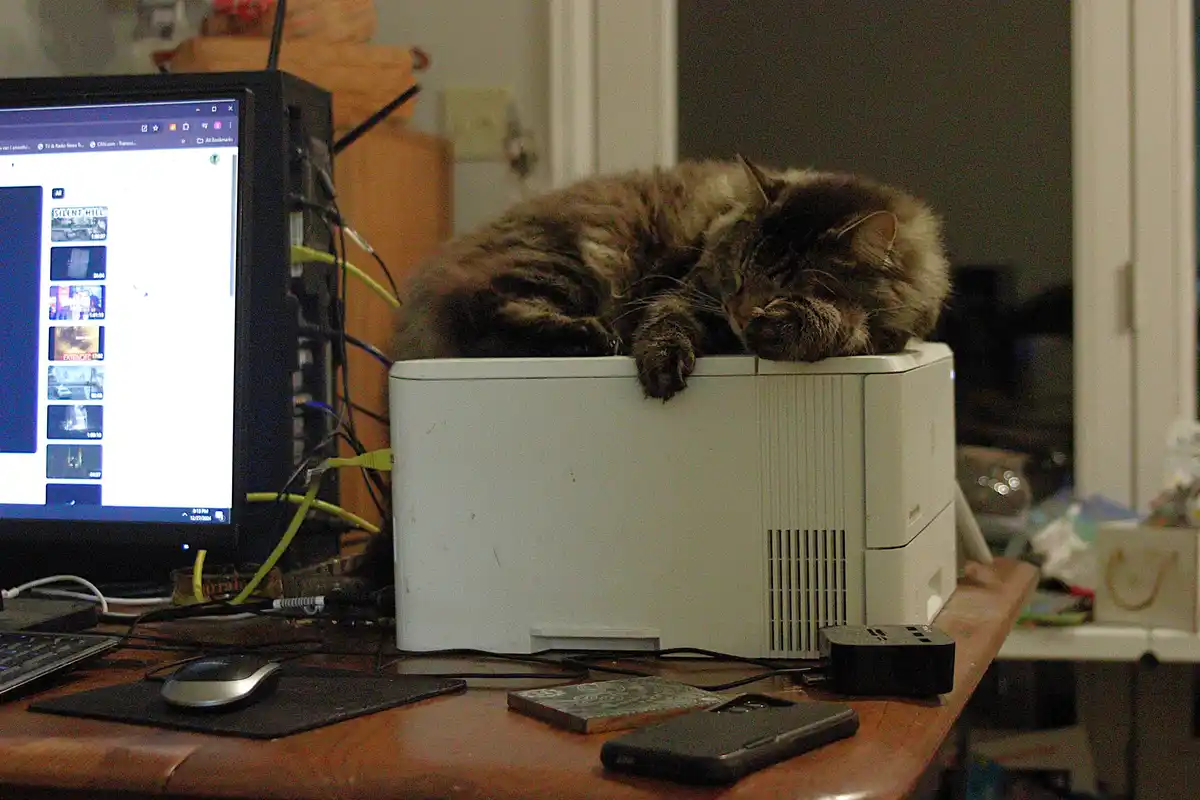 My Cat's Cozy Nap on Top of the Printer: A Perfect Moment