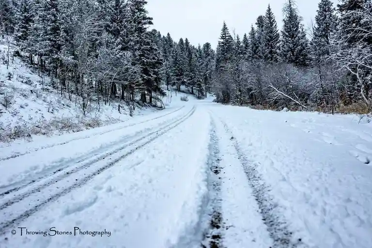 A snowy forest road with tire tracks leading into the distance, flanked by snow-covered evergreen trees under an overcast…
