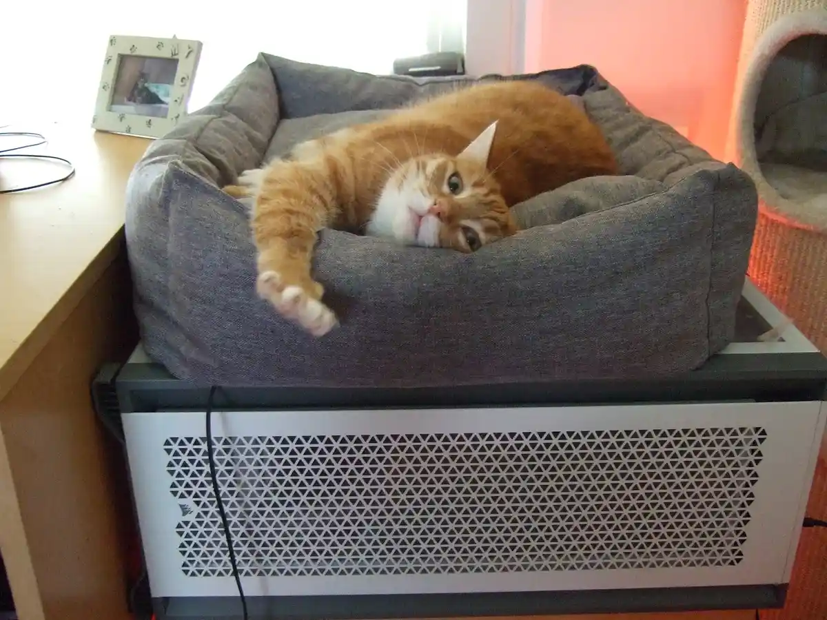 An orange tabby cat with white paws and chest is lounging in a grey pet bed that's placed directly on top of a white and…