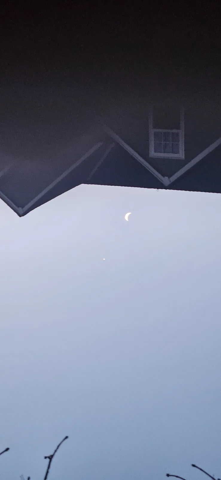 A low-angle photo shows a crescent moon and a small bright dot, likely a planet, in a pale twilight sky, framed by the dark…