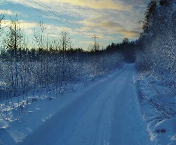 A snowy rural road stretches into the distance under a cloudy sky, flanked by snow-covered bushes and bare trees, with power…