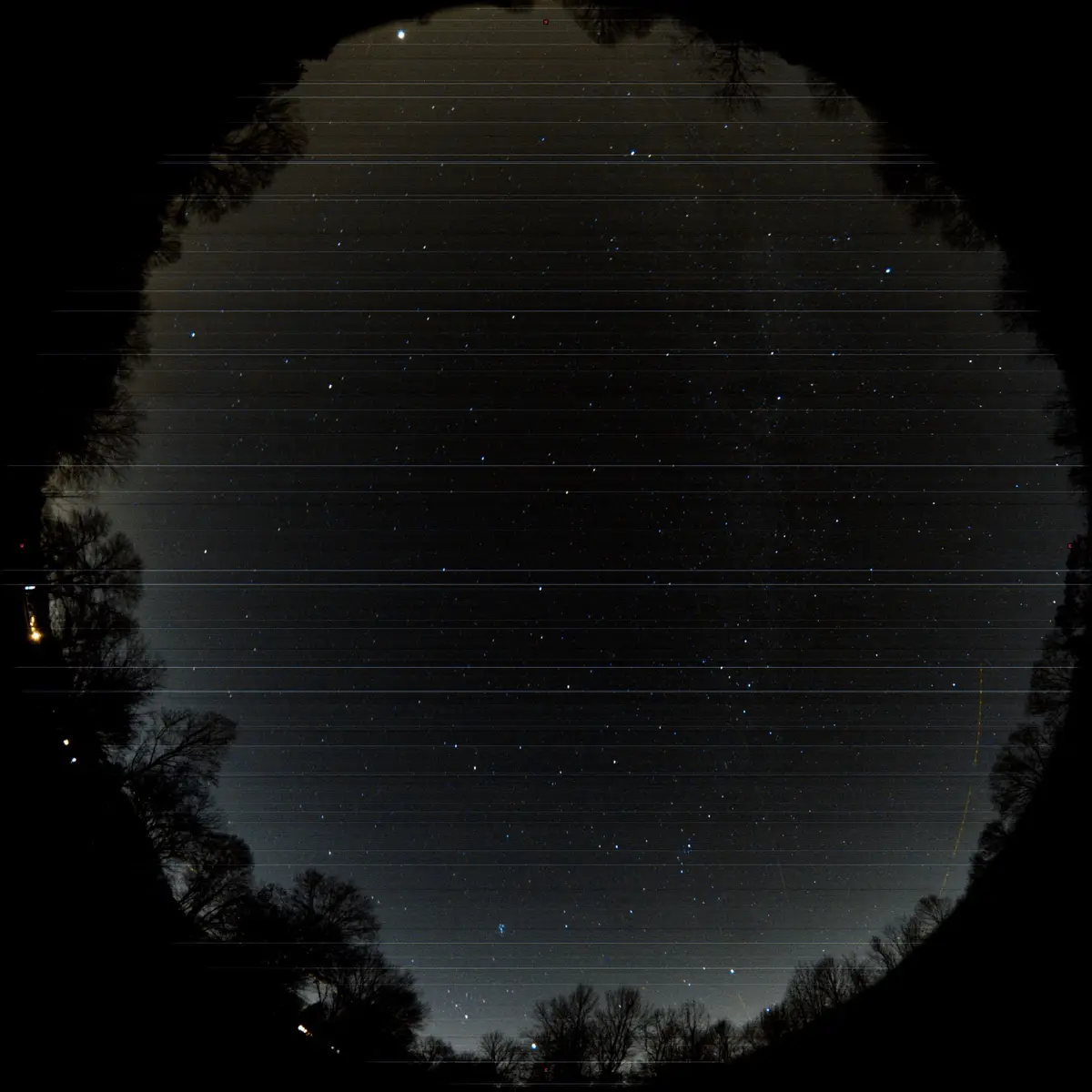 A circular fisheye view of a starry night sky framed by dark tree silhouettes, overlaid with the text 'i'm not a fan of the…