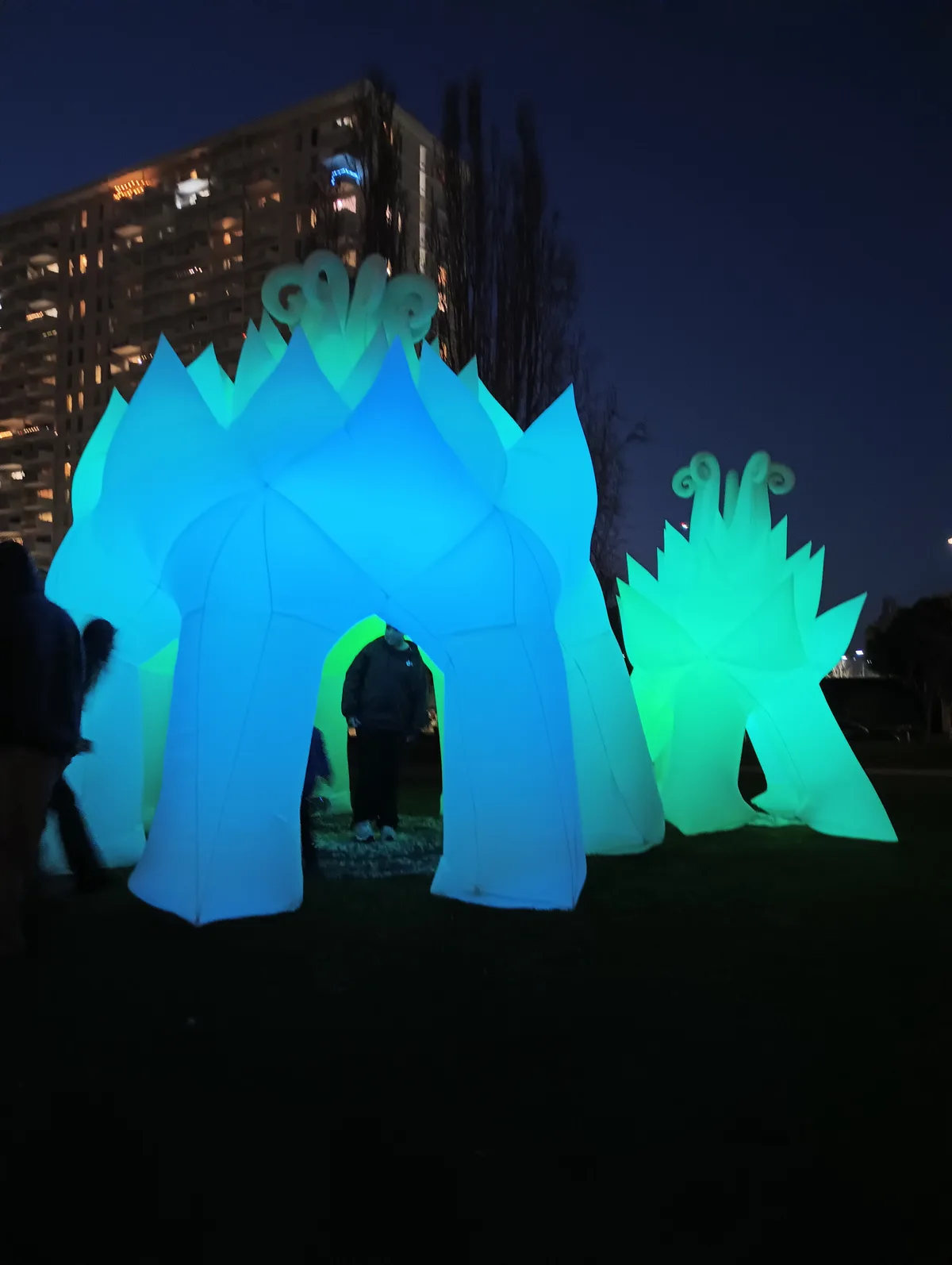 At night, two large, glowing, inflatable structures resembling stylized flowers or mushrooms stand on grass, one blue and…