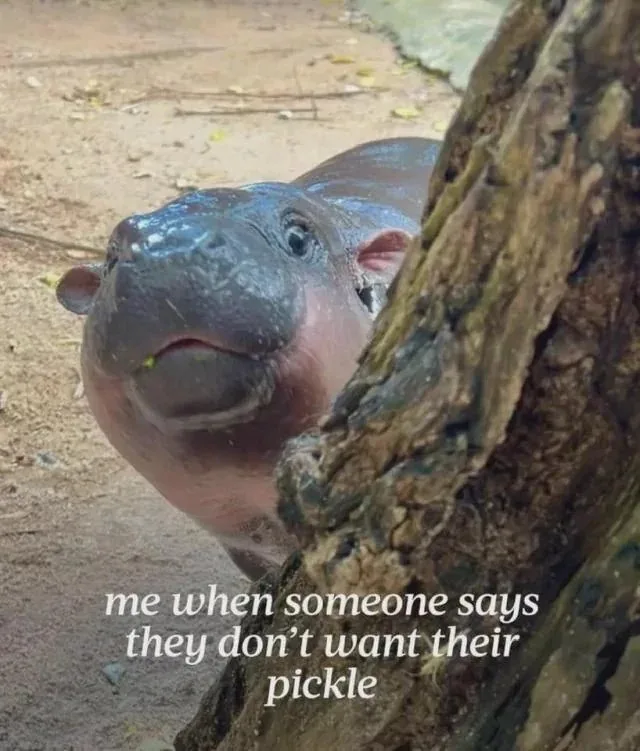 Are You Going to Finish That?