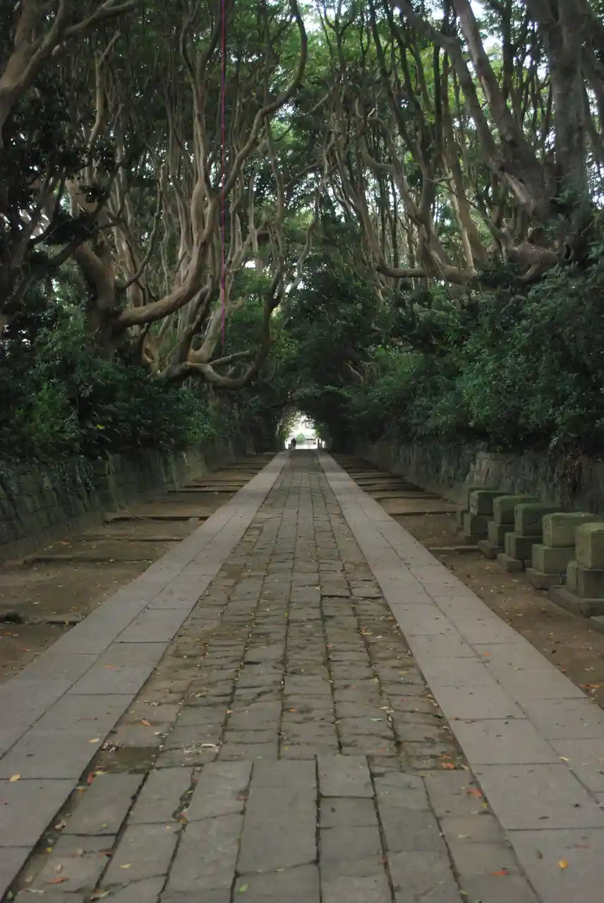 A long, straight stone pathway is flanked by dense, overhanging trees with gnarled branches forming a natural tunnel. On the…