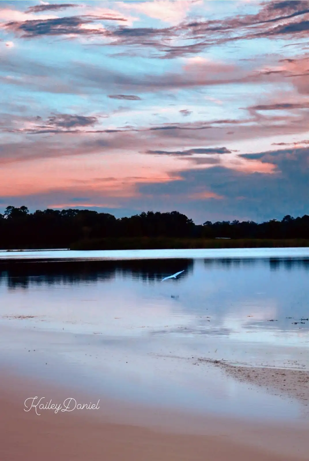 A serene sunset over a calm body of water with a white bird flying low over the surface, reflecting the pink and blue sky…