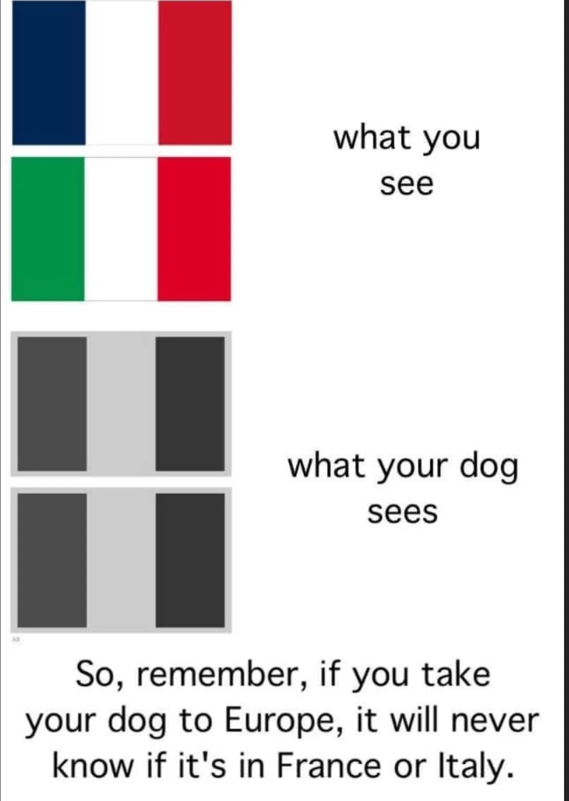 The image displays two sets of flags: the top set shows the colorful French and Italian flags labeled 'what you see,' while…
