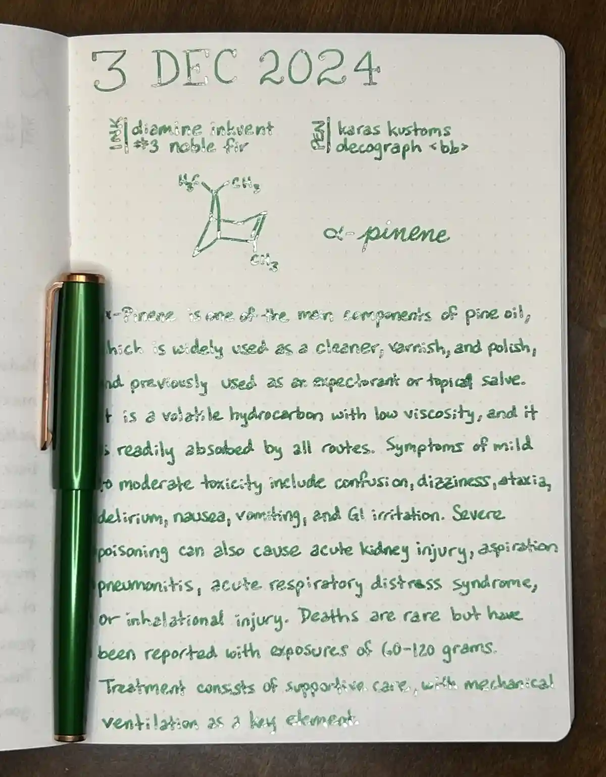 A close-up photo of an open notebook page dated '3 DEC 2024', written in green ink with a green pen resting on the left. The…