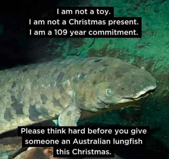 A close-up photo of an Australian lungfish underwater, showing its large, scale-covered body and distinctive head. Overlaid…