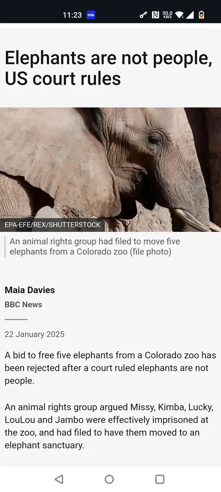 A screenshot of a BBC News article from January 22, 2025, featuring a close-up photo of an elephant's face. The headline…