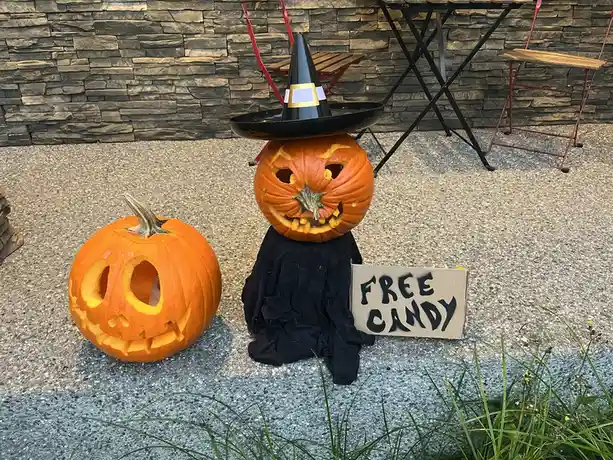 Two carved pumpkins sit on a gravel patio; one is dressed as a witch with a black hat and robe, holding a cardboard sign…