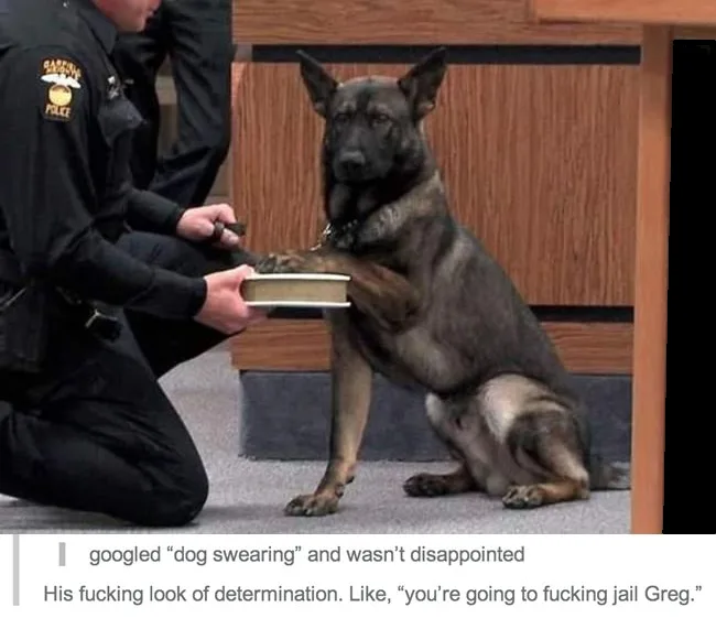 A police officer kneels before a German Shepherd dog, holding a book open as the dog places its paw on the book's page. The…