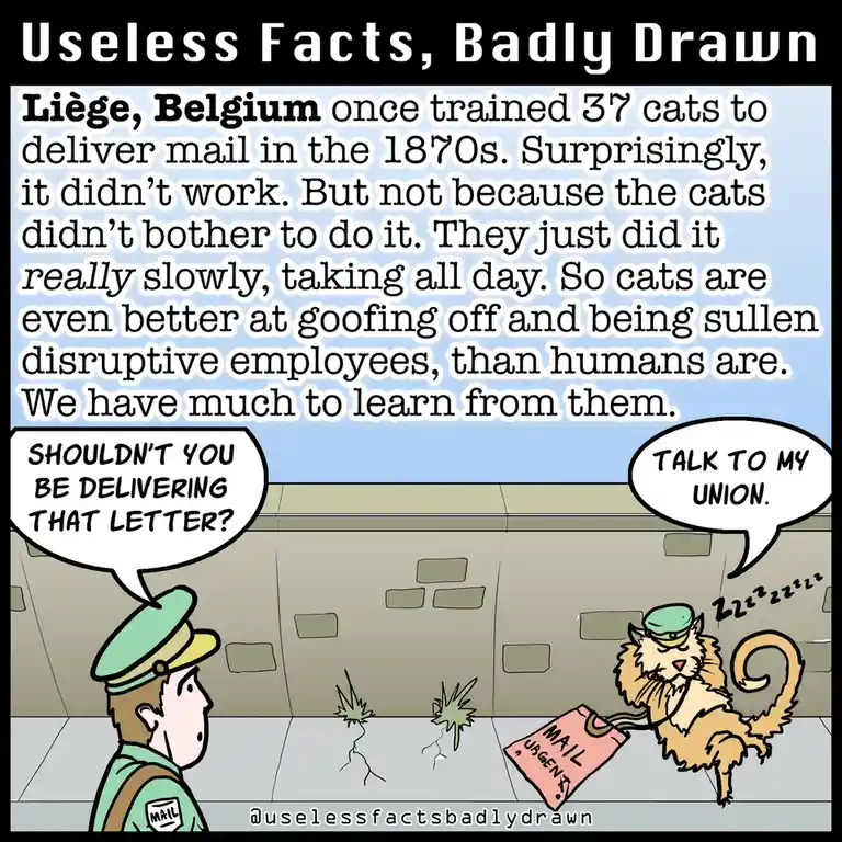 A cartoon depicts a human mail carrier asking a sleepy, cat mail carrier why it isn't delivering an urgent letter. The cat…