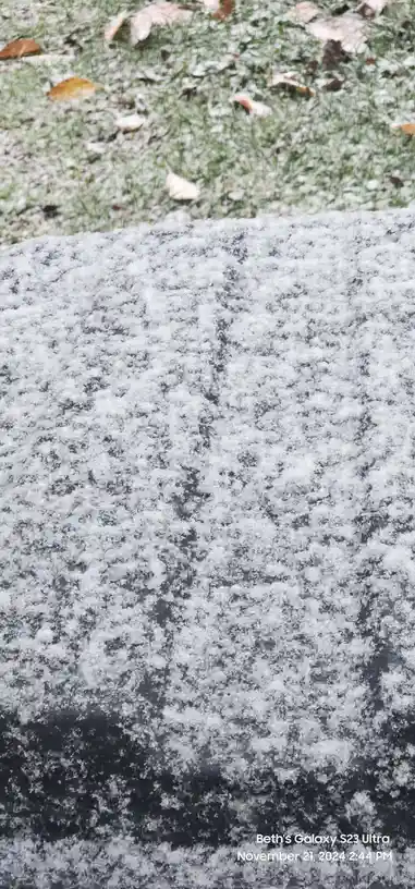 A Winter Wonderland of Flurries