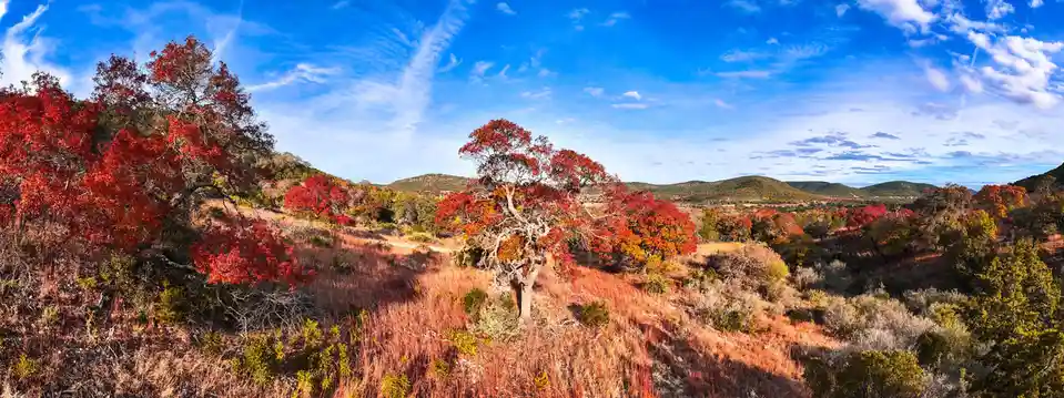 A panoramic landscape photo shows rolling hills covered in trees with vibrant red and orange autumn foliage under a bright…