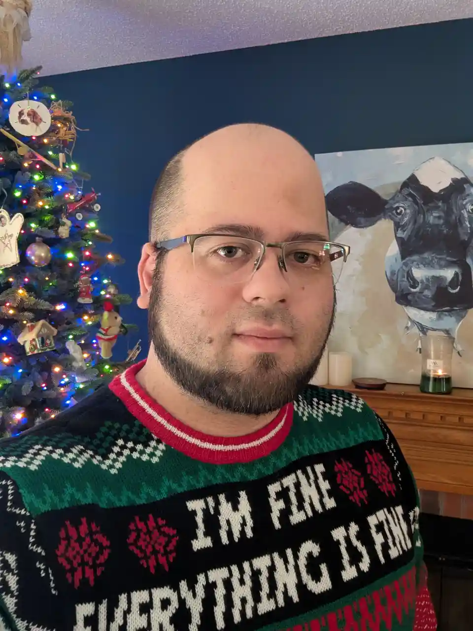 A man with glasses and a beard wears a festive Christmas sweater with the text 'I'M FINE EVERYTHING IS FINE' knitted on it…
