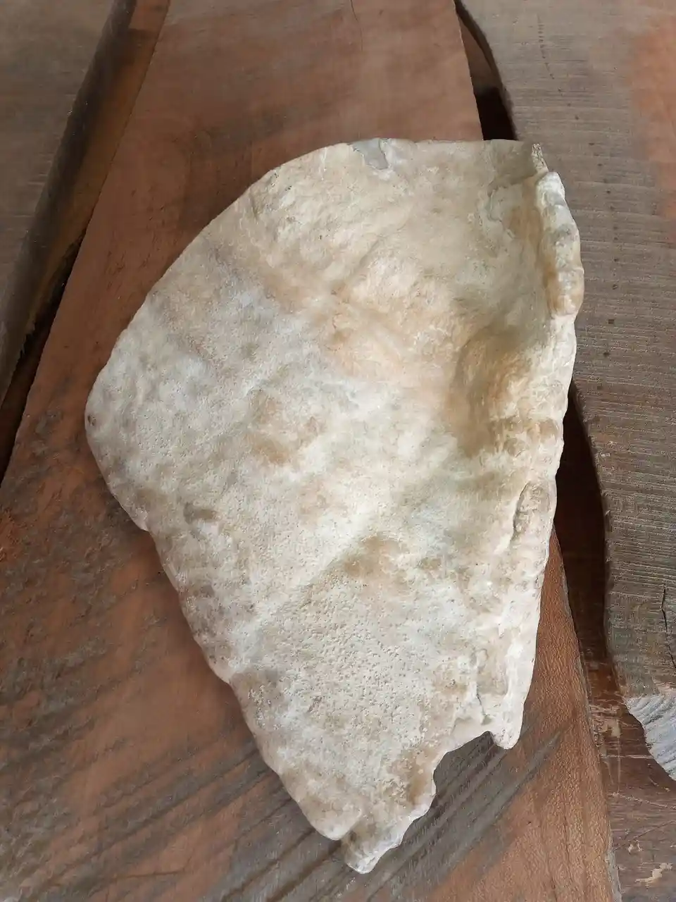 A large, irregularly shaped, beige-colored object with a rough, porous texture rests on a wooden surface. The object has a…