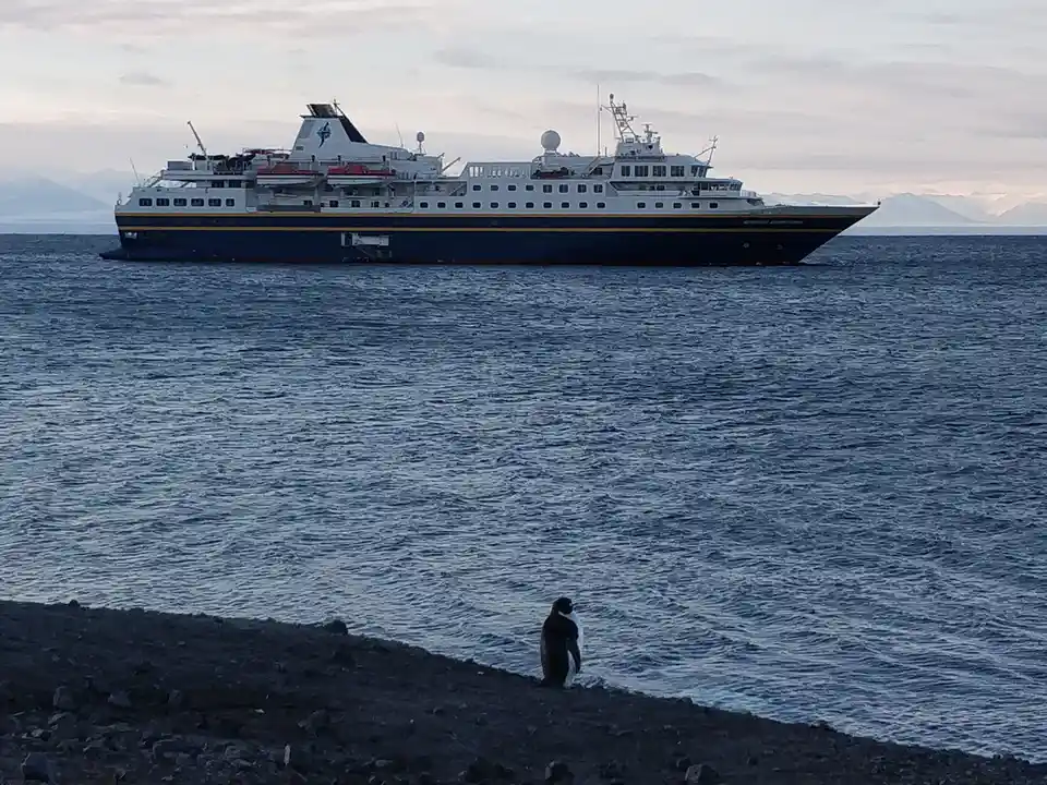 A single penguin stands on a dark, rocky shoreline, gazing out at a large cruise ship named 'Heritage Adventurer' anchored…
