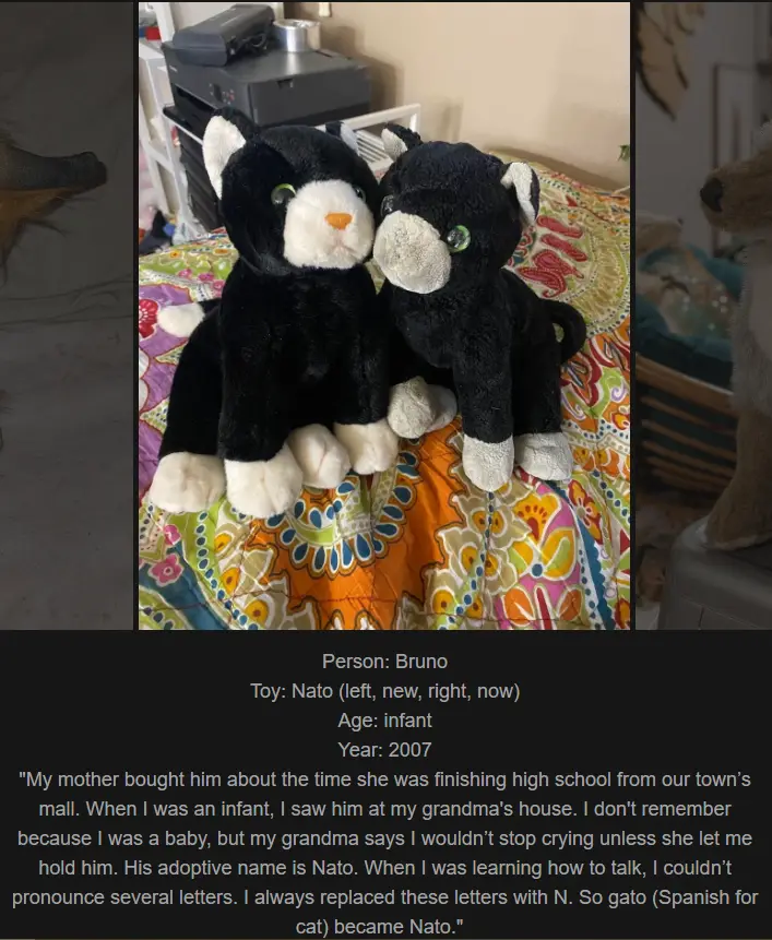 Two black-and-white plush cats sit side-by-side on a colorful patterned bedspread. The image includes overlaid text…
