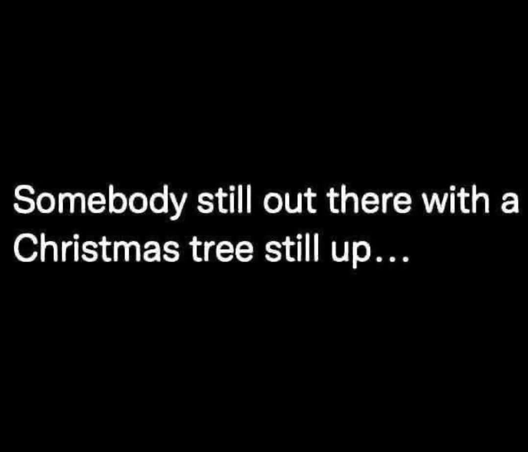 The image is a solid black background with white text centered that reads 'Somebody still out there with a Christmas tree…