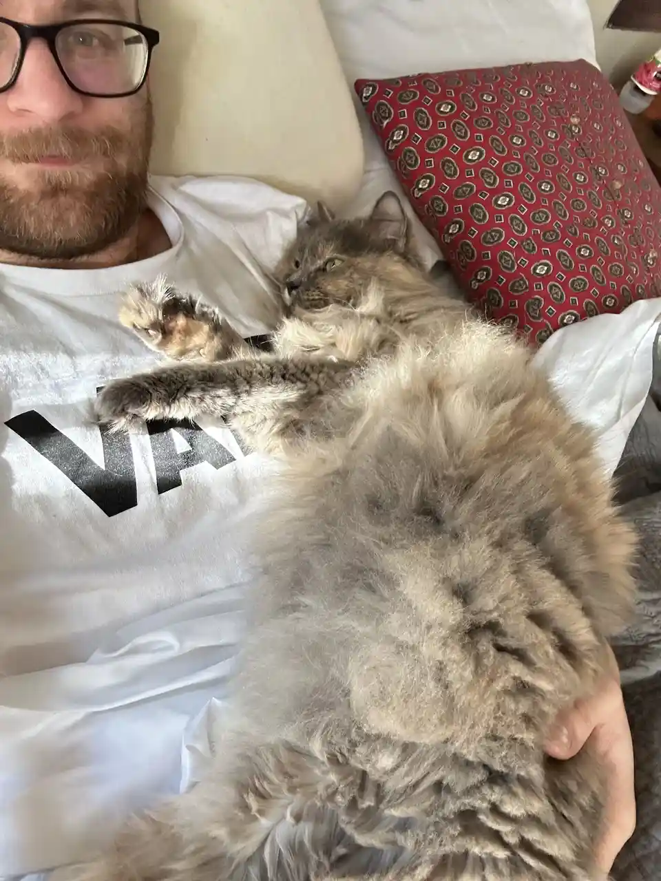 A man with glasses and a beard lies in bed wearing a white t-shirt, holding a fluffy, long-haired cat that is sprawled…