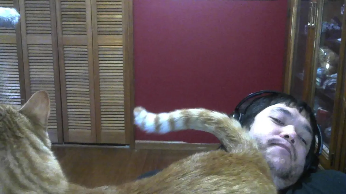 a person wearing headphones lies on their back with a tabby cat draped over them, the cat's striped tail extended toward the…