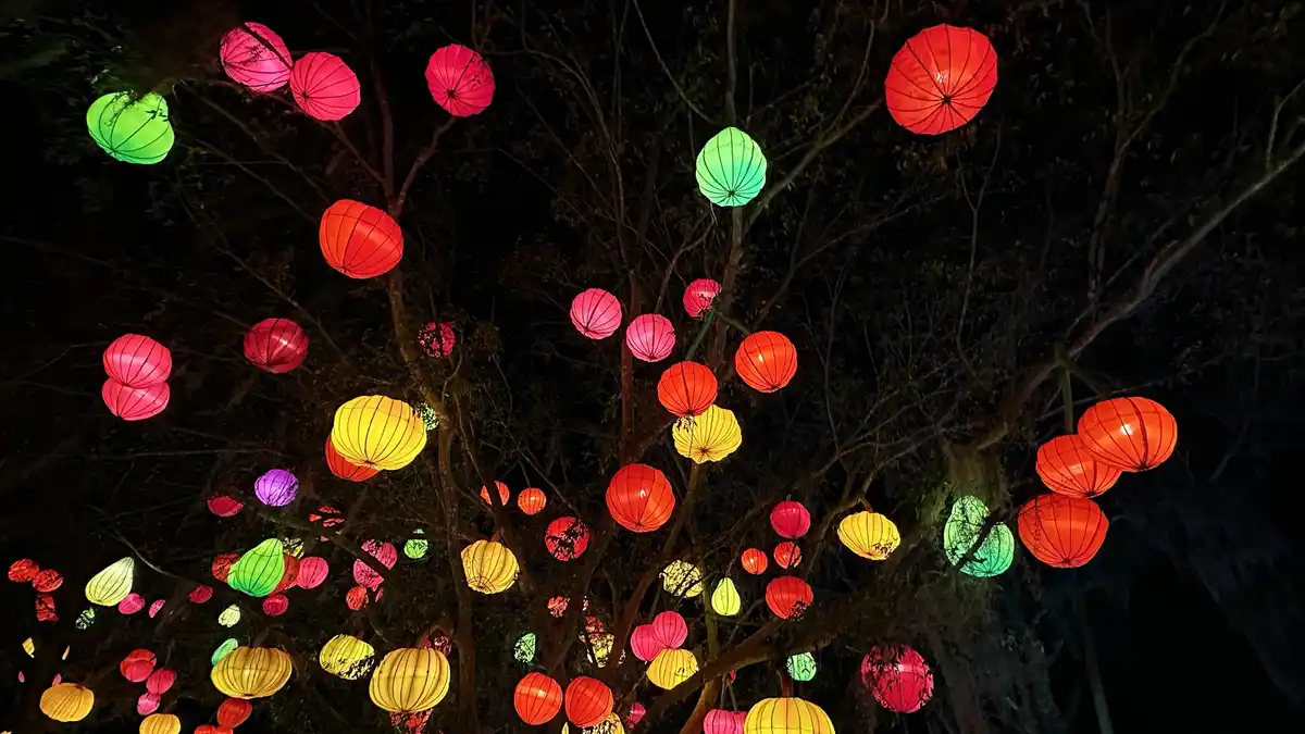 Japanese Lantern Festival at Sanford FL Zoo - 2025 Edition
