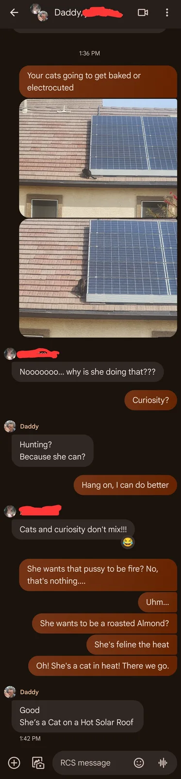 A screenshot of a text conversation where one person warns about a cat on a solar roof being in danger of getting baked or…
