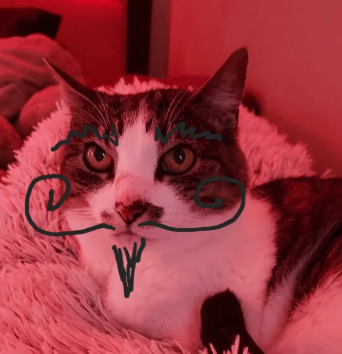 A close-up photo of a black and white cat lying on a fluffy surface under red lighting, with a crudely drawn mustache and…