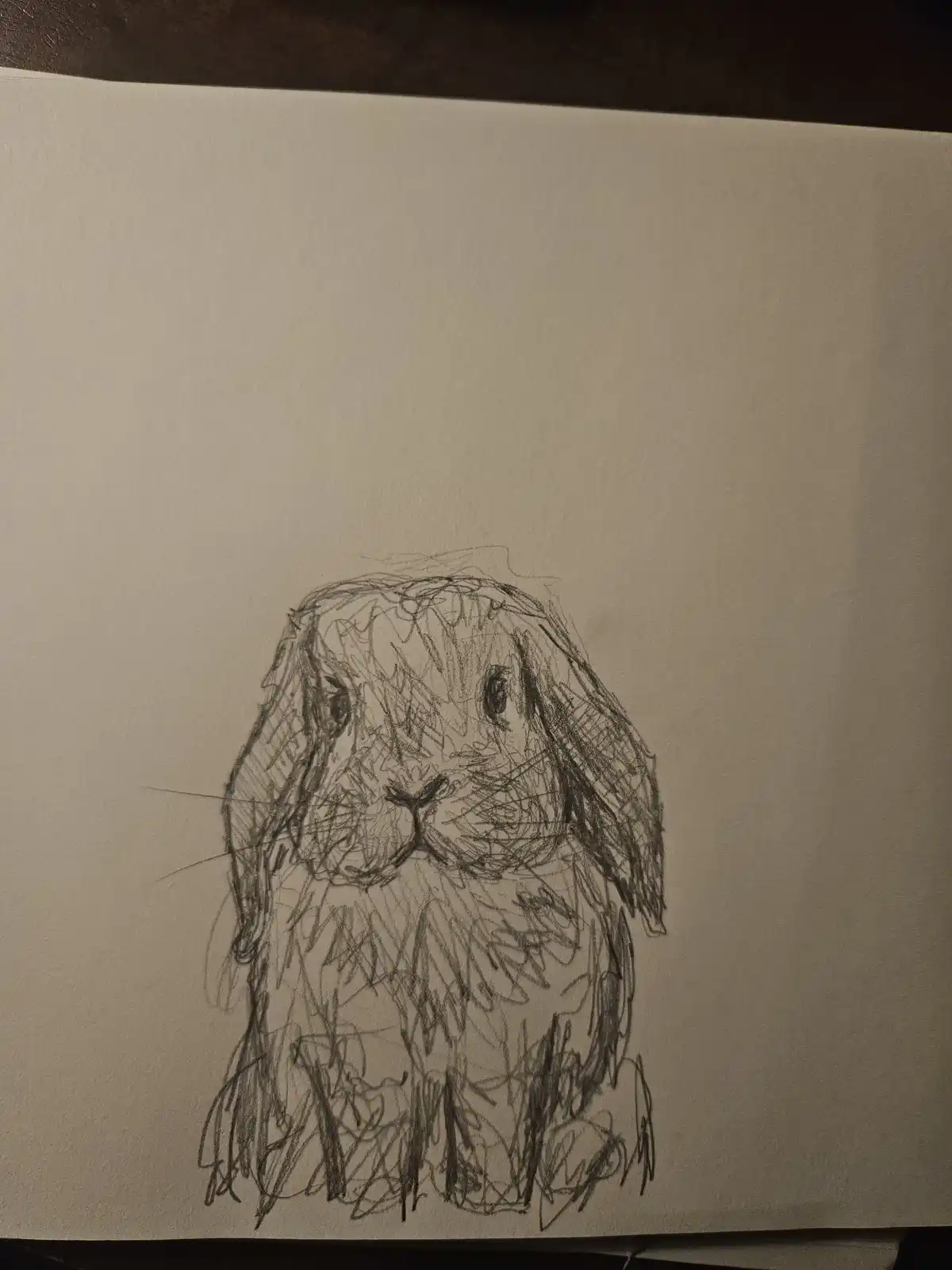 A rough pencil sketch on white paper depicts a rabbit with long floppy ears and a fluffy body, drawn with chaotic, scribbled…