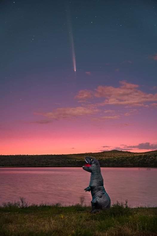 A person in a full-body inflatable dinosaur costume stands on grass near a lake at twilight, gazing upward at a bright comet…