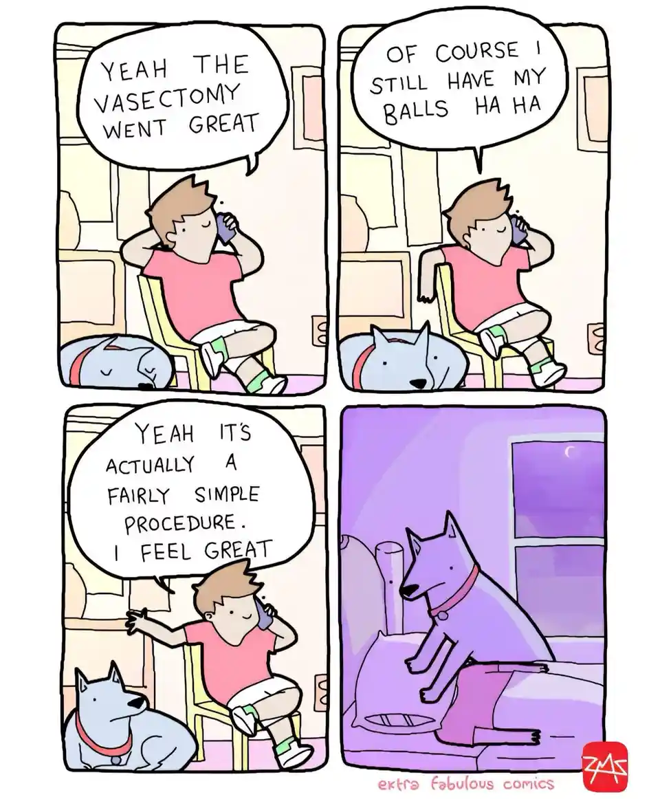 Dave, where on earth are my testicles?