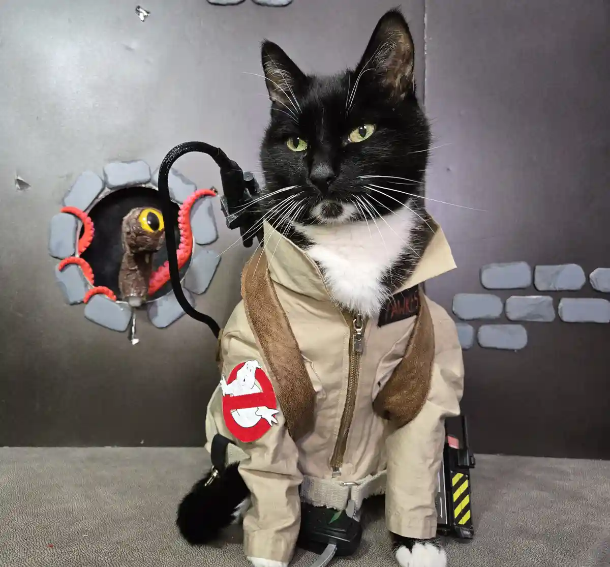 A black and white cat dressed in a Ghostbusters costume with a proton pack and a 'Pawkes' name tag, stares seriously at the…