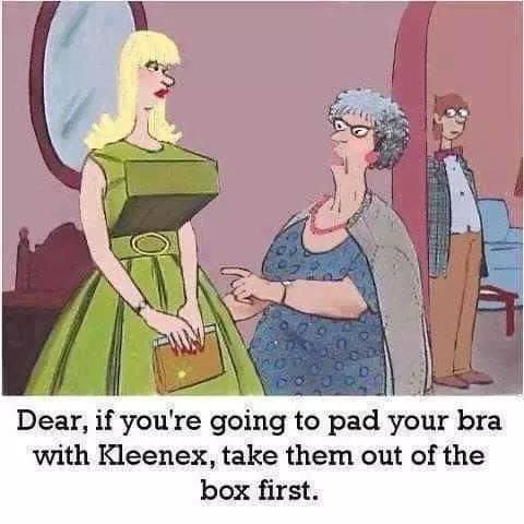 A cartoon depicts a woman in a green dress holding a purse, being scolded by an older woman in a blue dress who points at…