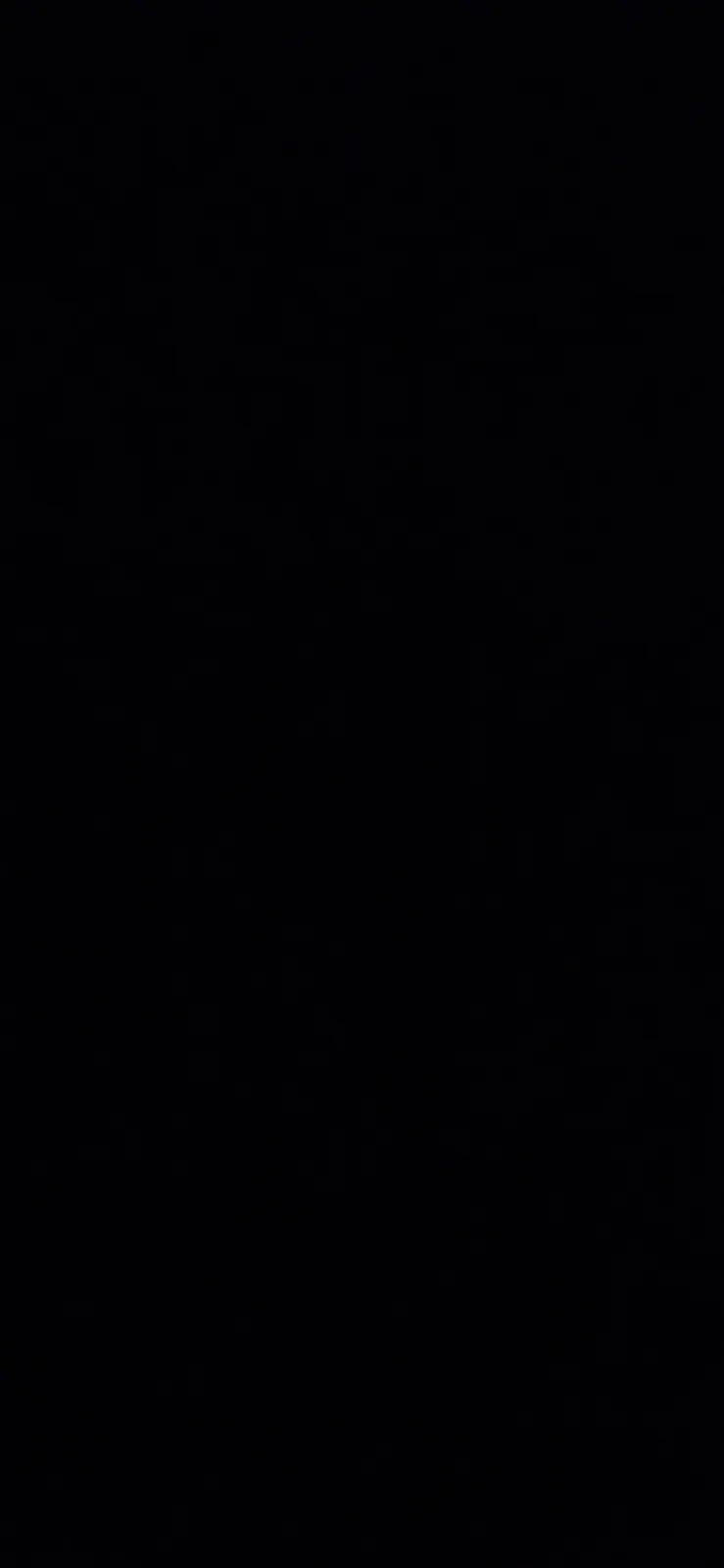 The image is completely black with no visible content or overlaid text. There are no discernible elements, figures, or text…