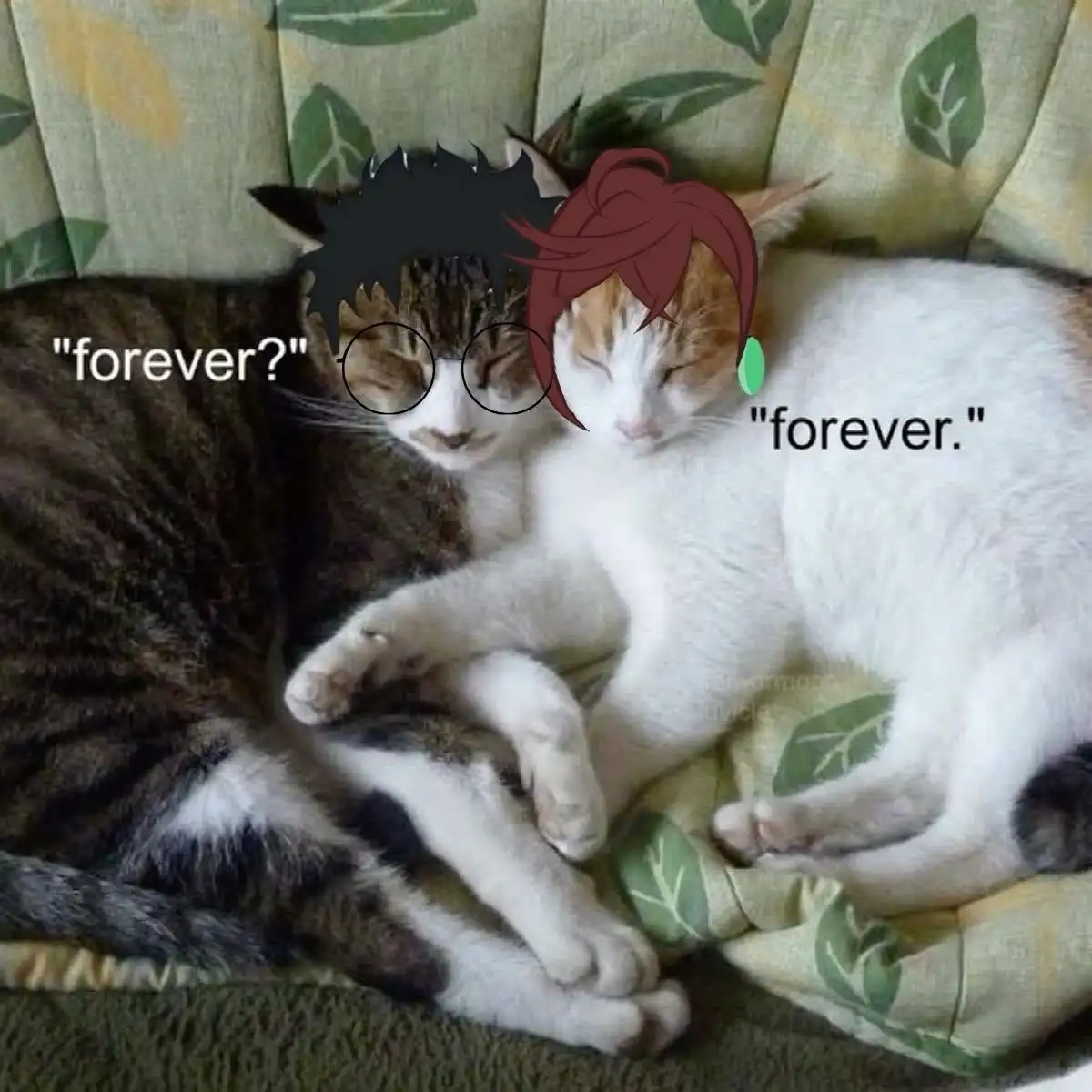 Two cats are cuddling on a leaf-patterned couch; the tabby cat on the left has a black spiky-haired anime character overlay…